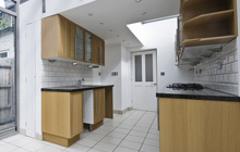 Whiteash Green kitchen extension leads